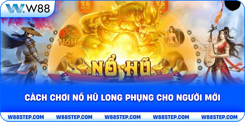 Cách chơi nổ hũ long phụng cho người mới
